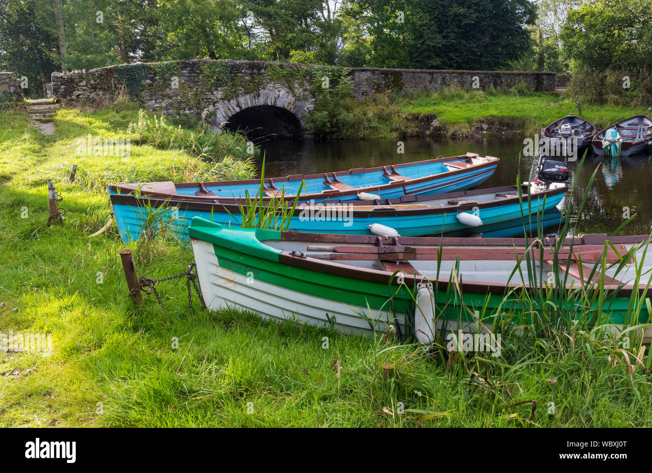 L'Aviron bateaux amarrés sur le petit ruisseau séparer l'île de Ross depuis le continent, Lough Leane, le Parc National de Killarney, comté de Kerry, Irlande. Banque D'Images