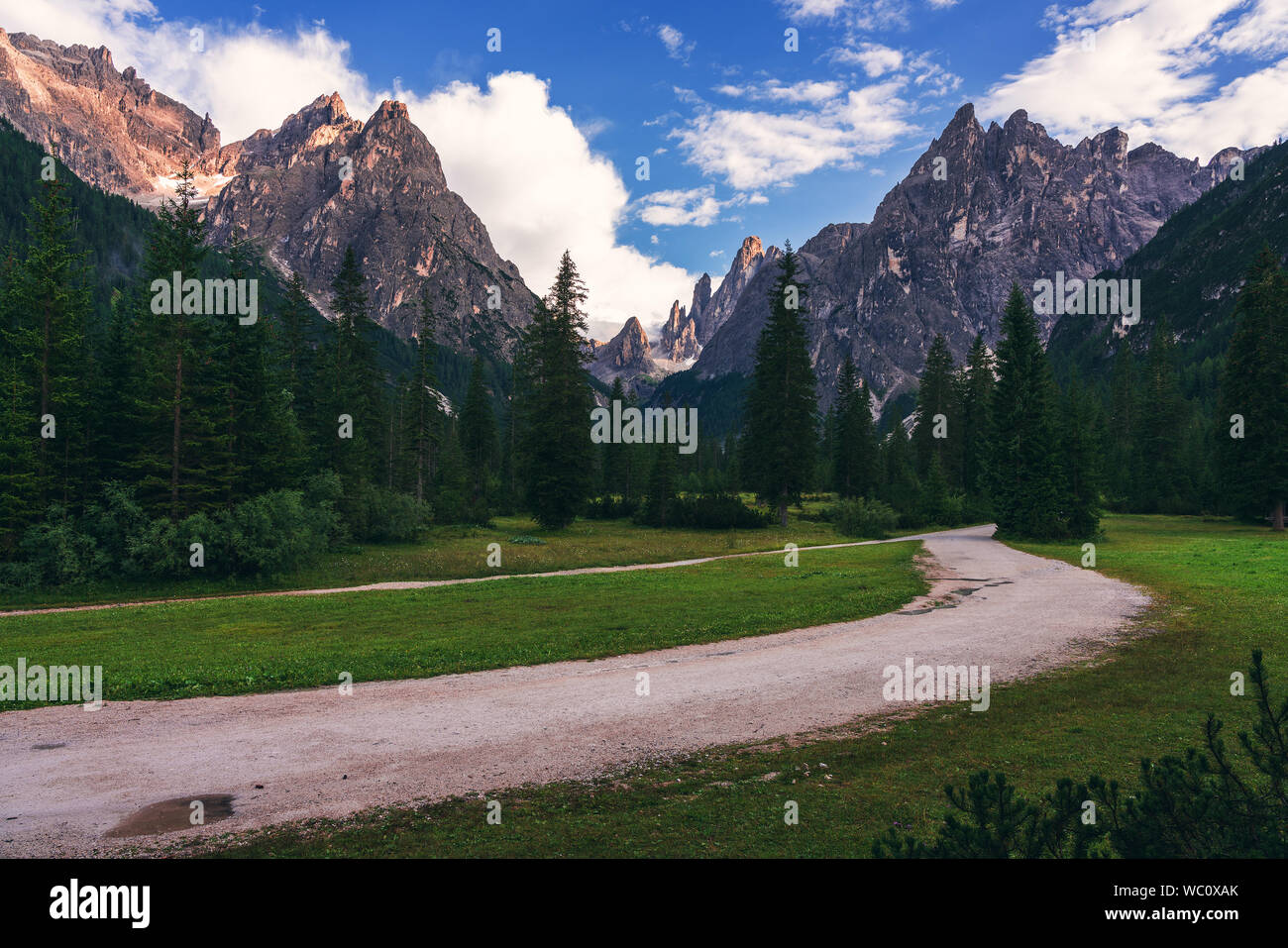 Chemin forestier dans les Dolomites, Val Fiscalina Banque D'Images