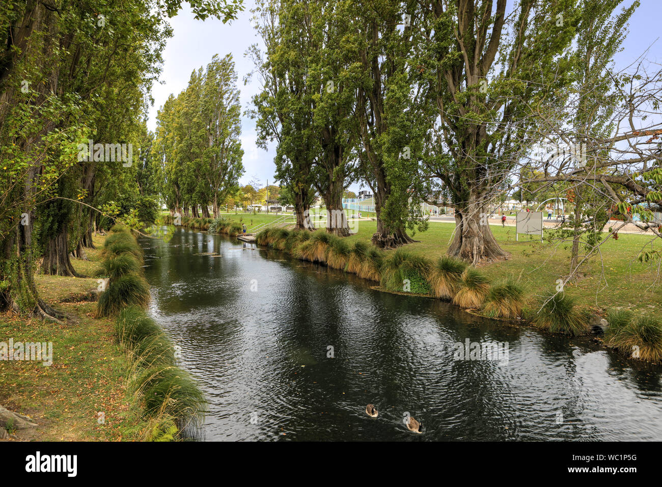 Une rivière bordée d'arbres à Christchurch, Nouvelle-Zélande Banque D'Images