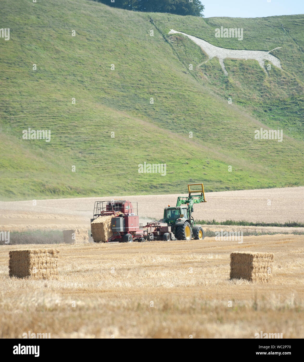 Winfield, Wiltshire, Royaume-Uni. 26 août 2019. La moisson a commencé dans sérieux pour cet agriculteur Wiltshire comme il produit des balles de foin à côté de la Vega Whit Banque D'Images
