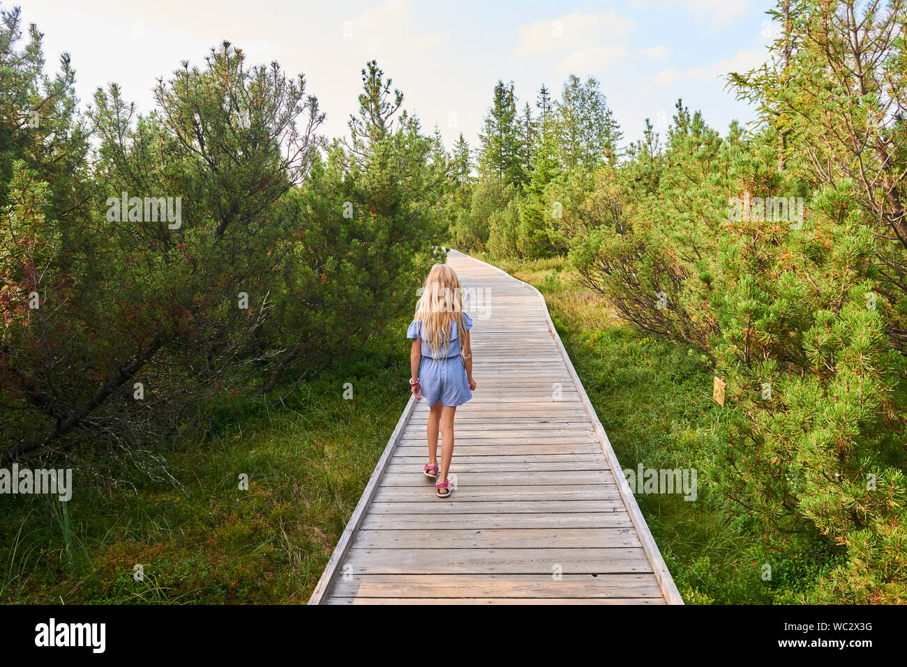 Enfant blonde fille appréciant la nature à Jezerni slat (lac Moor) dans le parc national de Sumava (forêt de Bohême), République tchèque Banque D'Images