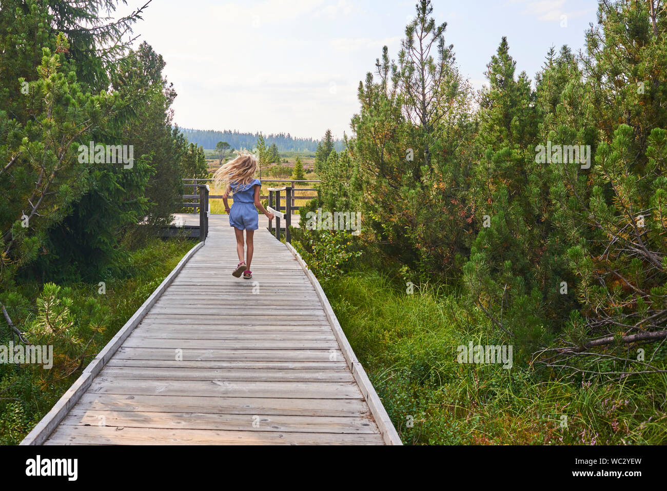 Enfant blonde fille appréciant la nature à Jezerni slat (lac Moor) dans le parc national de Sumava (forêt de Bohême), République tchèque Banque D'Images