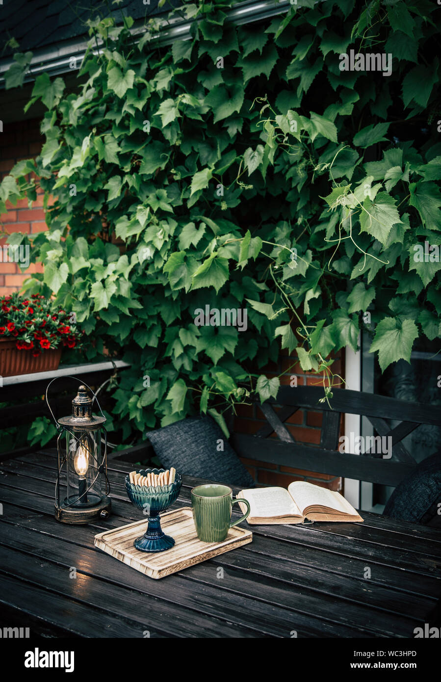 Balcon privé en plein air avec des vignes d'Escalade sur mur, brown mobilier de jardin, de boissons, de cookies. mug Moderne vie Instagram Banque D'Images