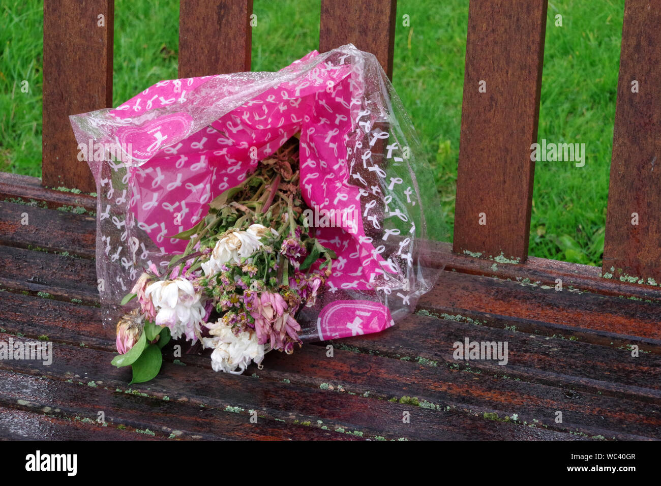 Les fleurs mortes sur un banc de parc sous la pluie Banque D'Images