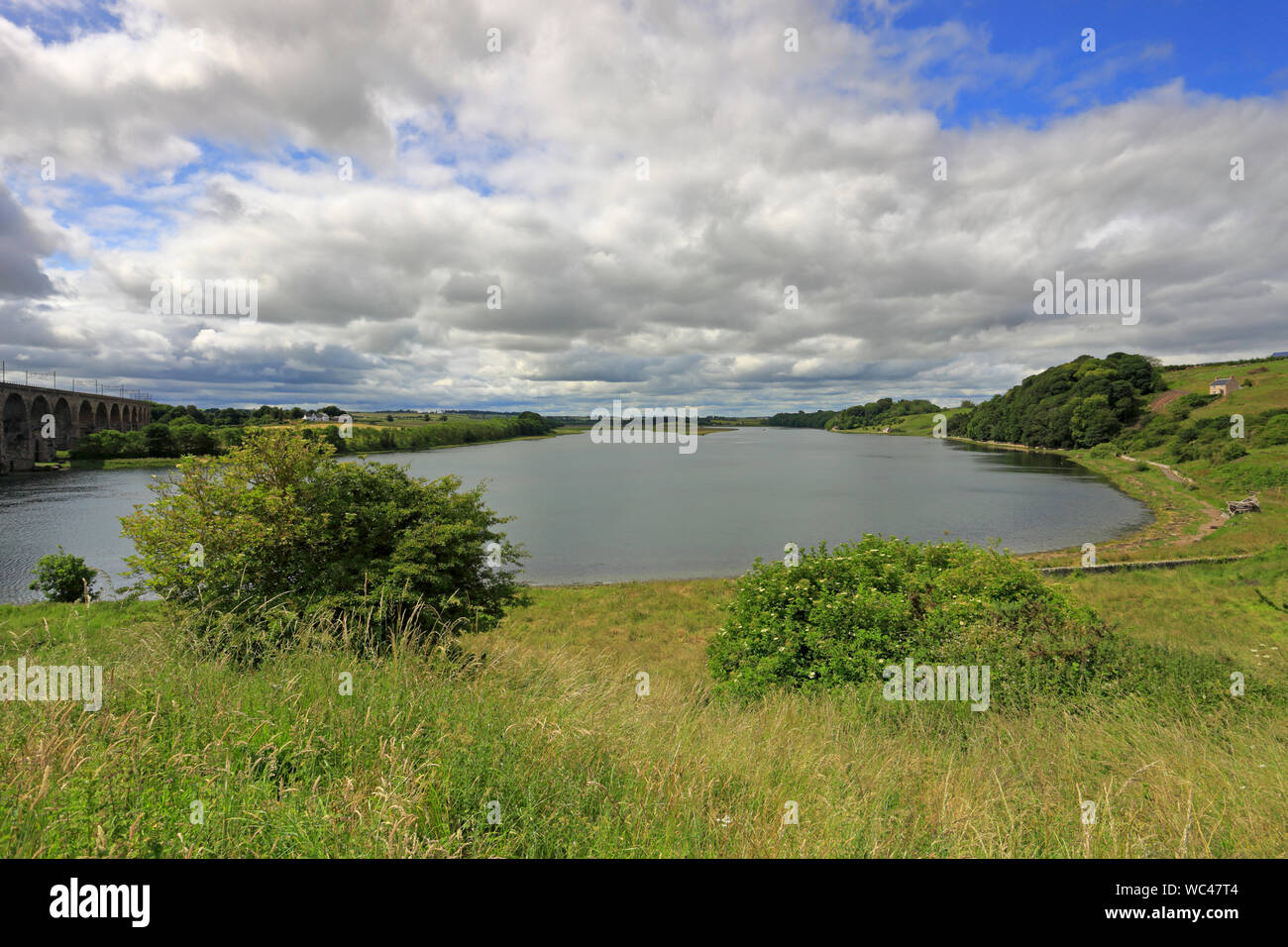 La rivière Tweed en amont du Pont Royal Boarder, Weymouth, Dorset, Angleterre, Royaume-Uni. Banque D'Images