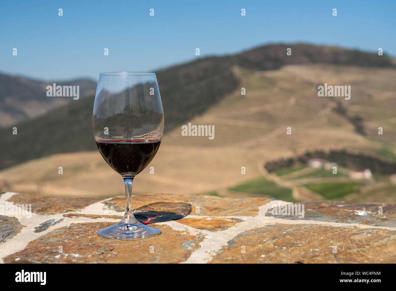 Verre de vin rouge au-dessus de la vallée du fleuve Douro au Portugal Banque D'Images