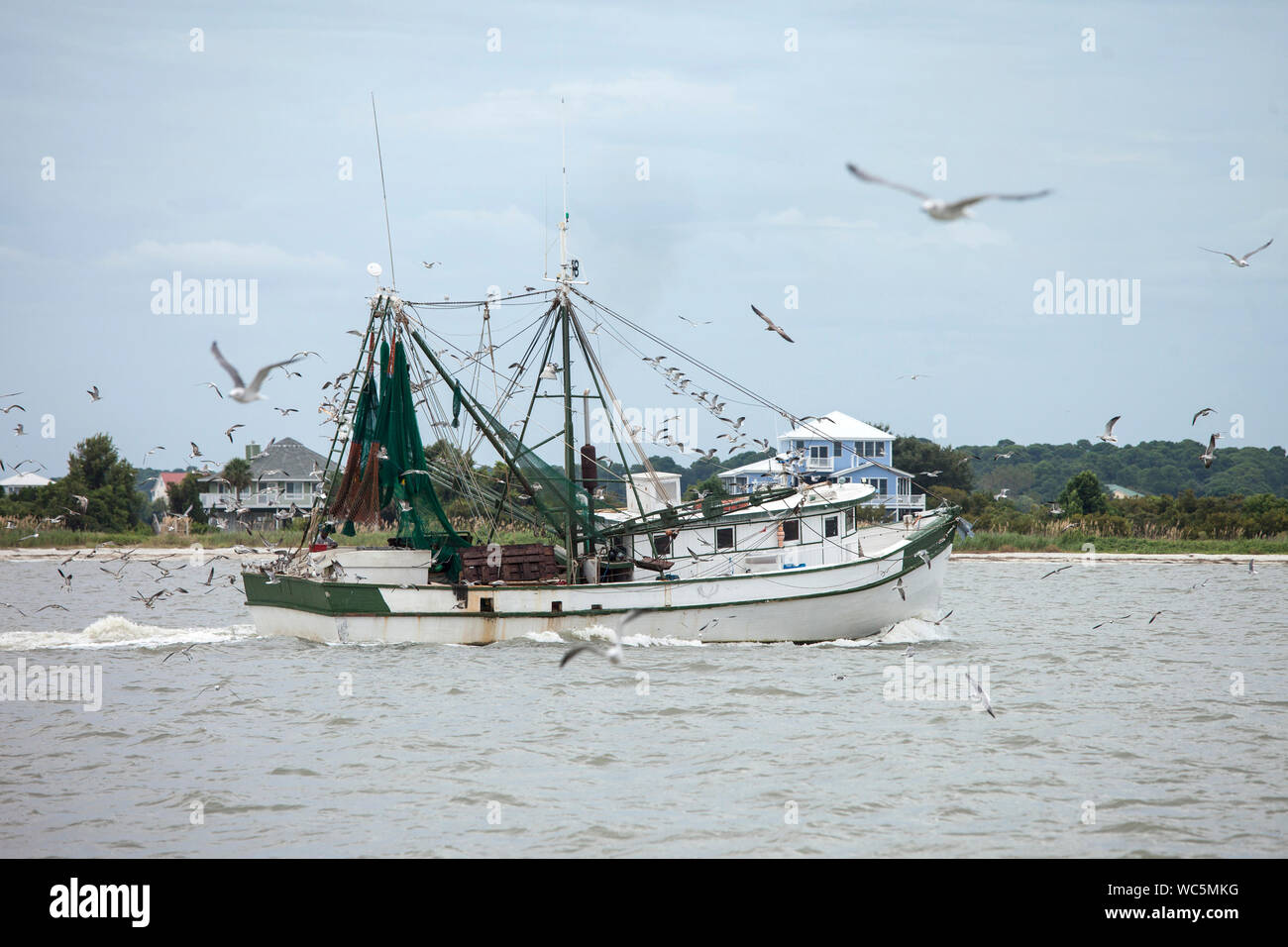 Navire de pêche commerciale de la crevette de capture en Caroline du Sud Banque D'Images