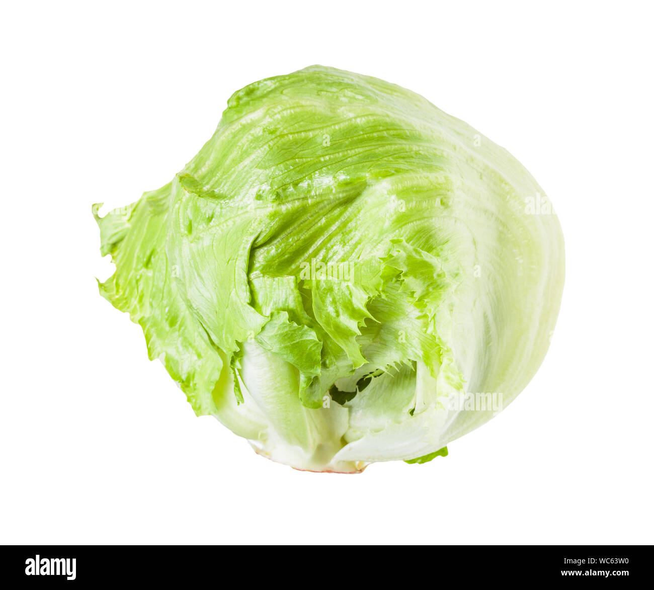 Crisphead de laitue iceberg isolé sur fond blanc Banque D'Images