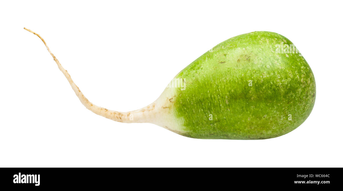 Vert frais unique Lobo (radis) margelan isolé sur fond blanc Banque D'Images