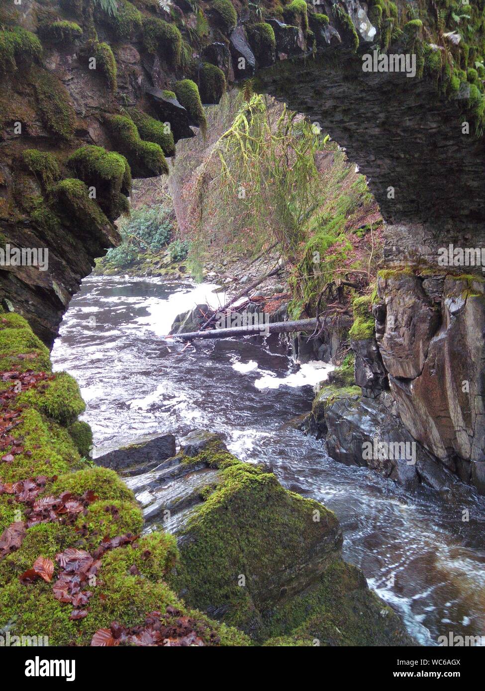 Le Parc National de Cairngorms dans les Highlands écossais Banque D'Images