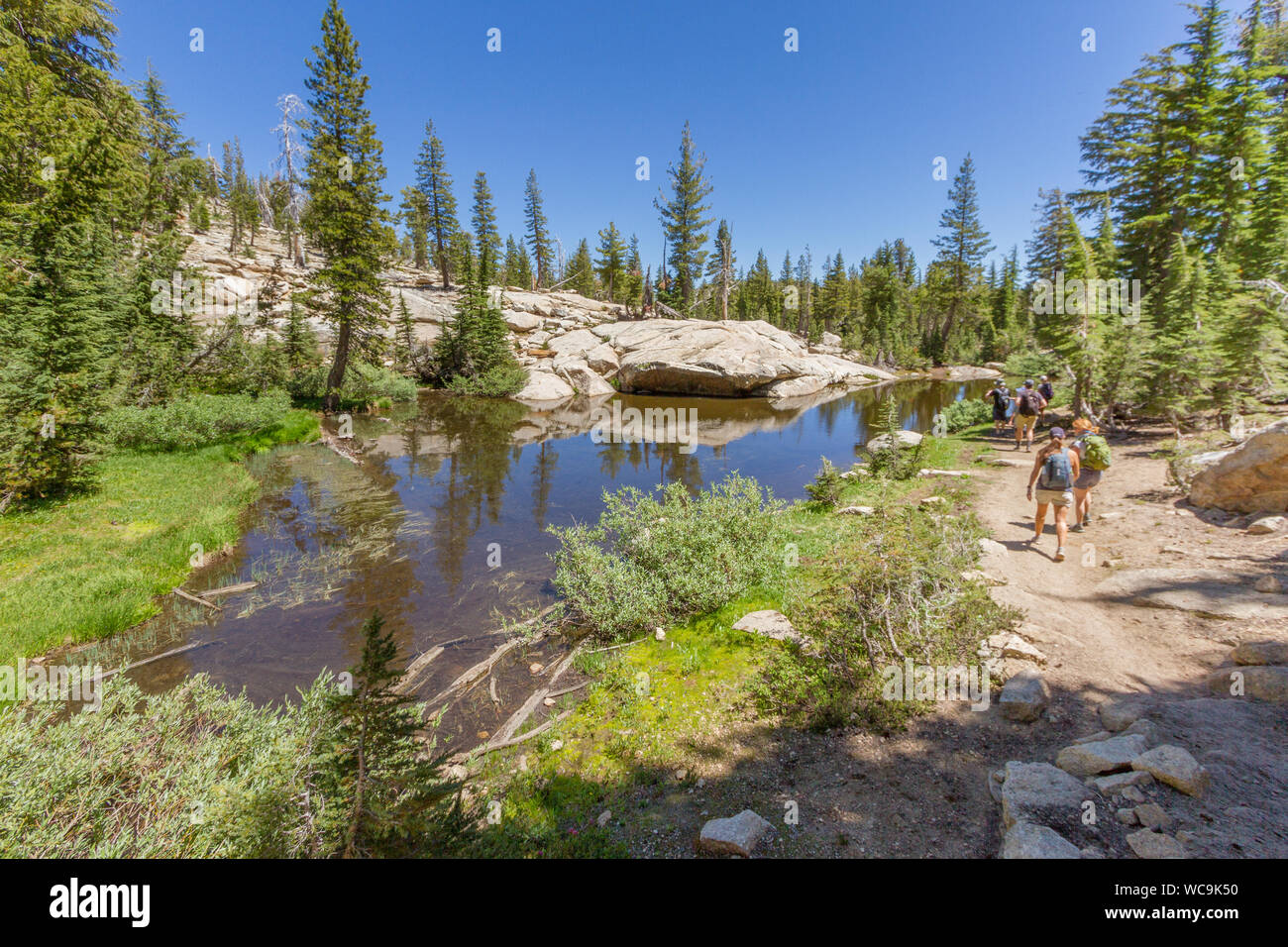 Les gens à côté d'un étang dans la Sierra Nevada, en Californie, USA. L'étang est clair, reflétant les arbres vert et bleu ciel. Copier l'espace. Banque D'Images