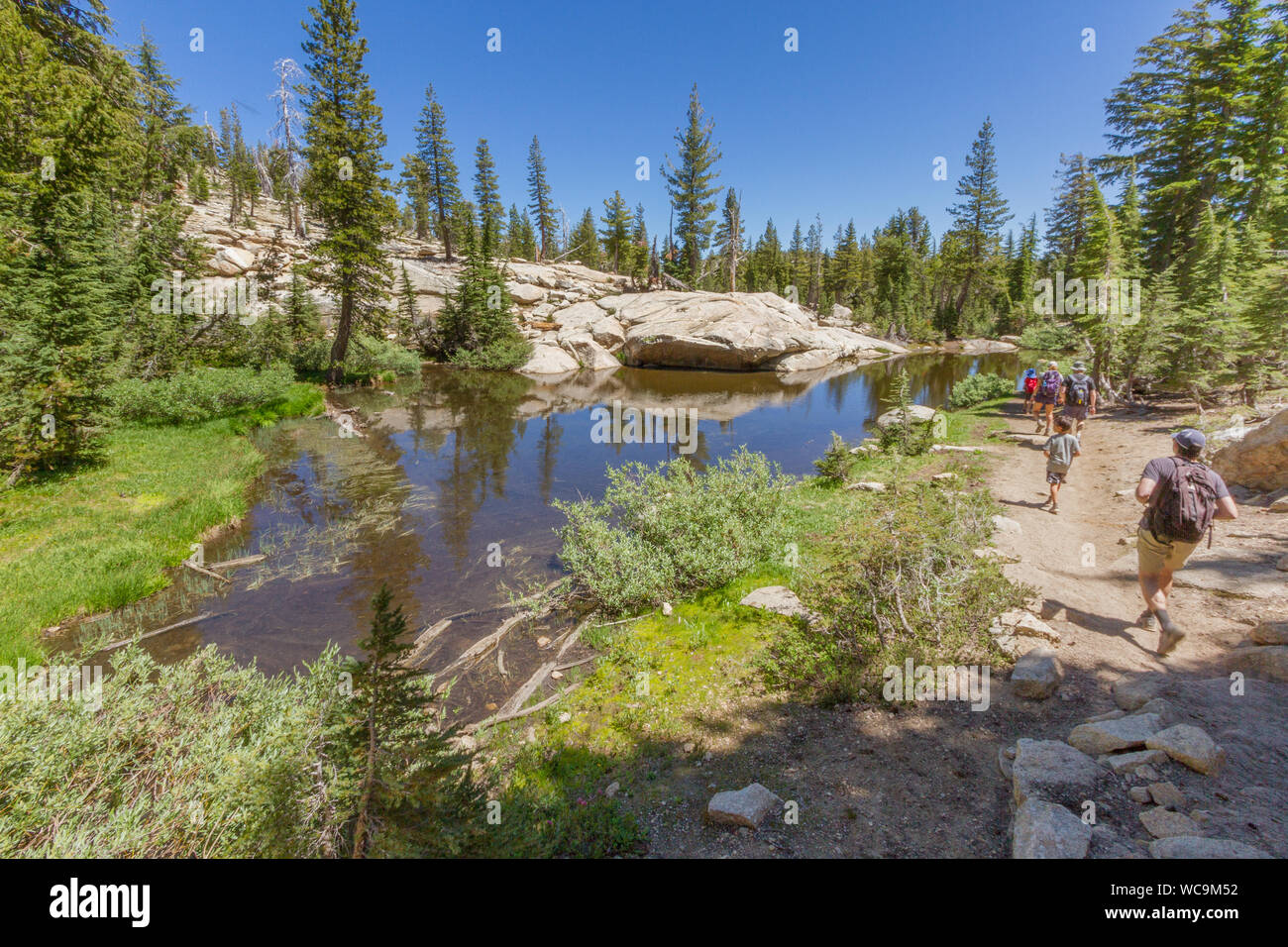 Les gens à côté d'un étang dans la Sierra Nevada, en Californie, USA. L'étang est clair, reflétant les arbres vert et bleu ciel. Copier l'espace. Banque D'Images