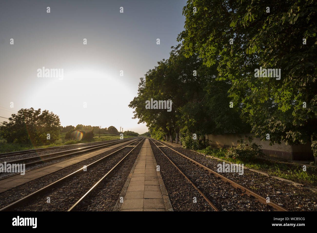 Les voies de chemin de fer, rails et plates-formes en milieu rural dans la gare, Alibunar Serbie, prises pendant le coucher du soleil avec des arbres et une perspective Photo de la tra Banque D'Images