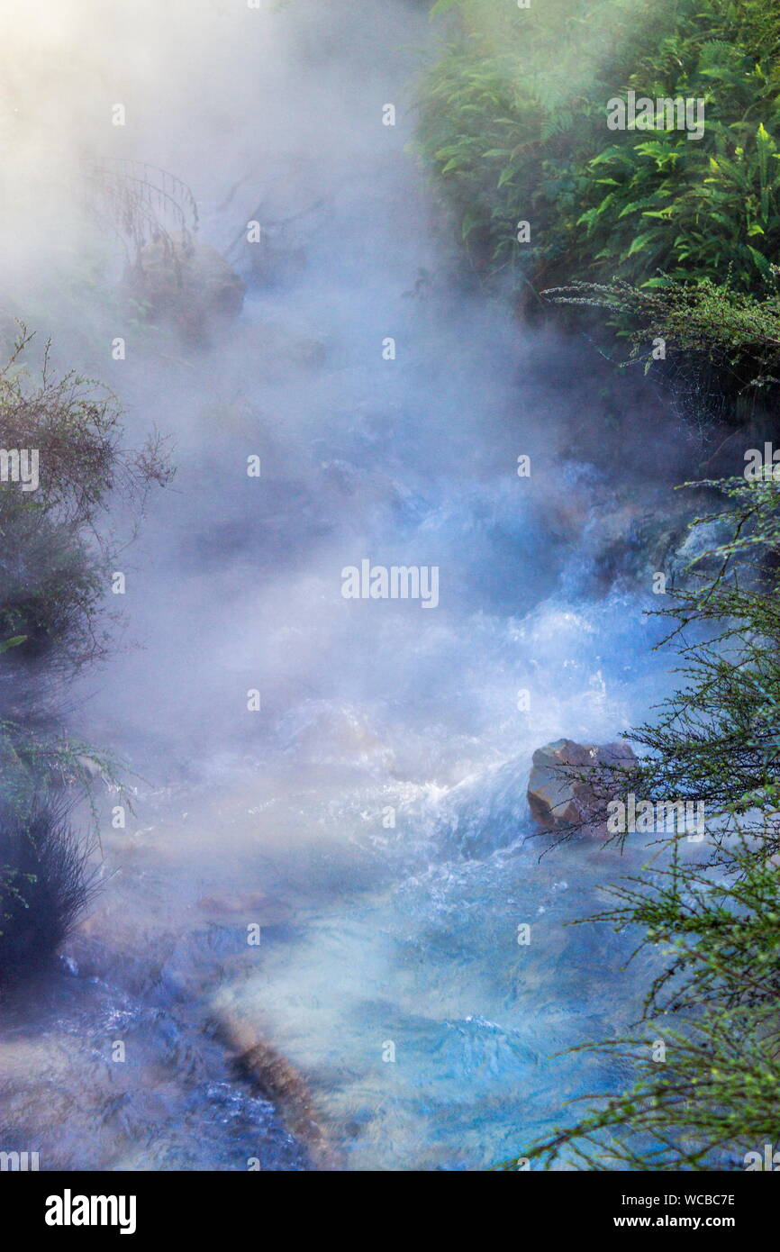 La vapeur géothermique s'élève à une exécution à la rivière chauffée la Vallée volcanique de Waimangu dans Rotorua, Nouvelle-Zélande. Banque D'Images