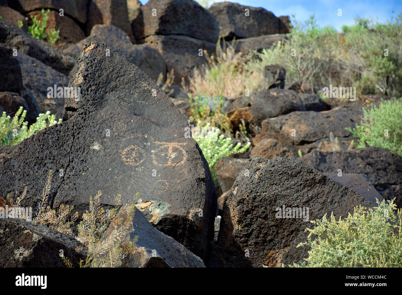 700 ans de pétroglyphes le monument national Petroglyph à New Mexico, USA. Ces ont été sculptées et en basalte taillée par les Amérindiens. Banque D'Images