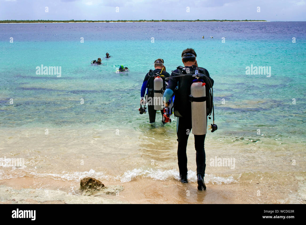 Shore diving scuba diver, entrant dans la mer, la plupart des sites de plongée sont accessibles à partir de la rive, Bonaire, Antilles néerlandaises Banque D'Images