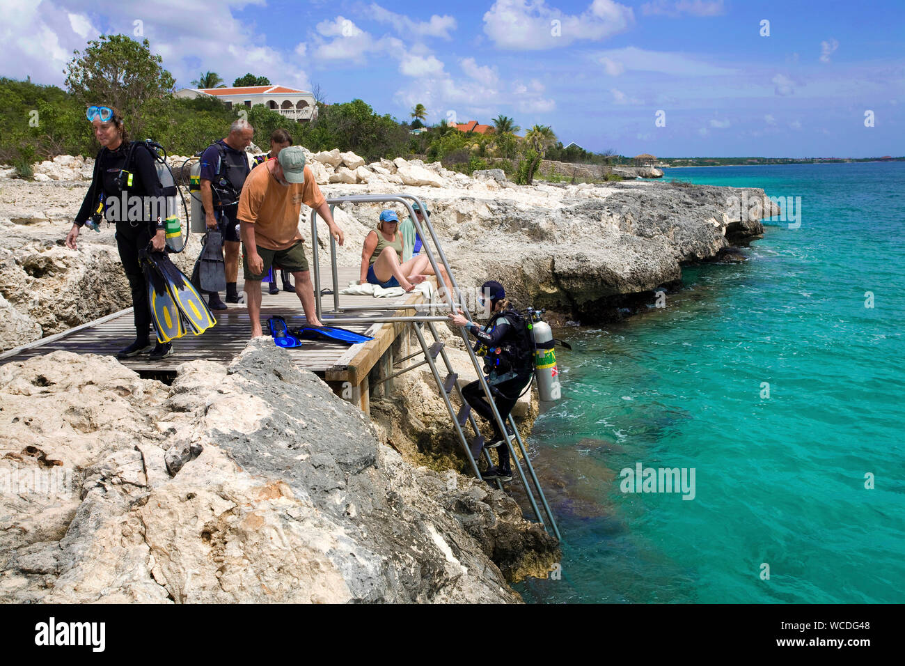 Shore diving scuba diver, entrant dans la mer sur une ledder, la plupart des sites de plongée sont accessibles à partir de la rive, Bonaire, Antilles néerlandaises Banque D'Images