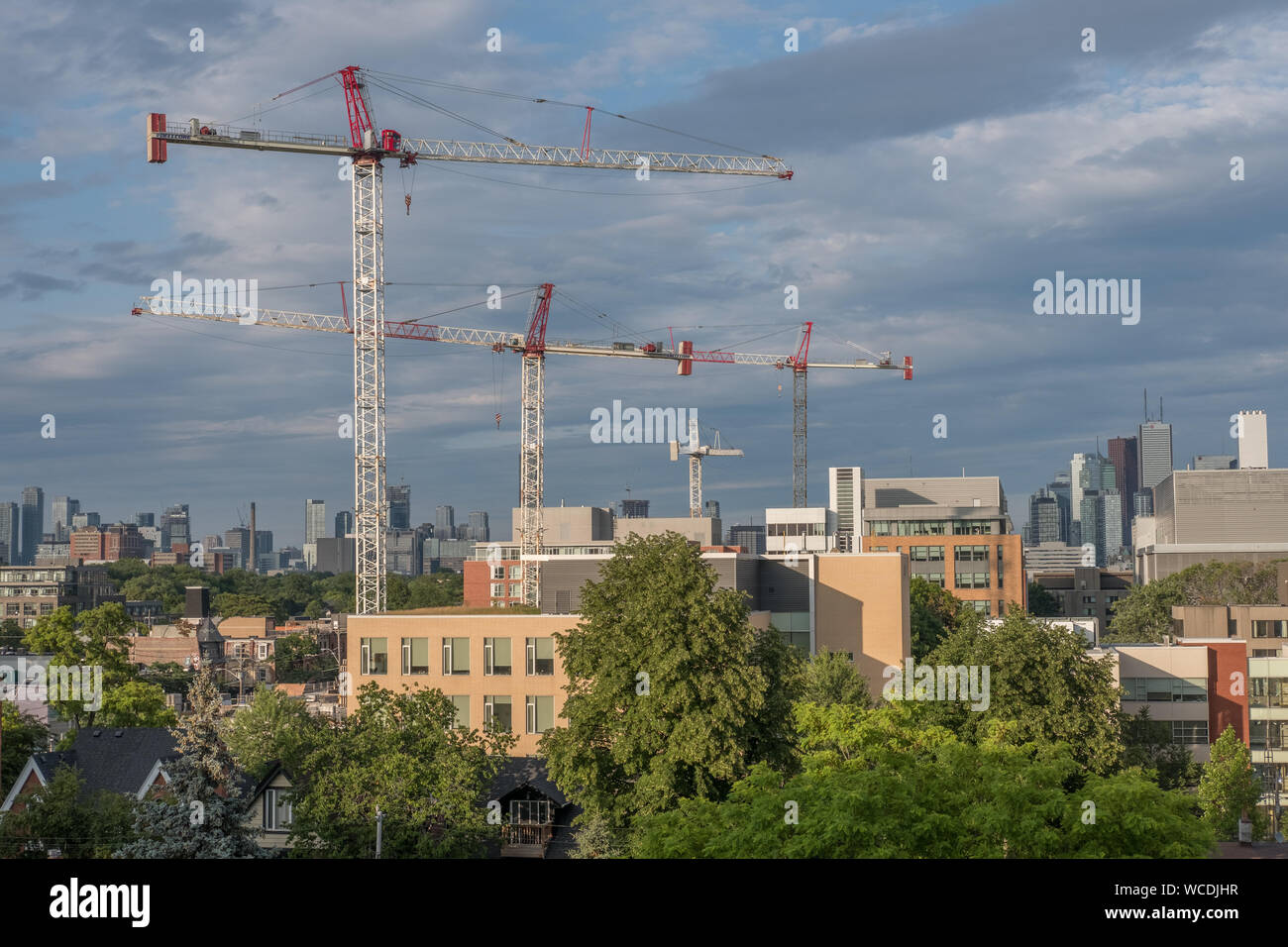 Grues de Toronto Banque D'Images