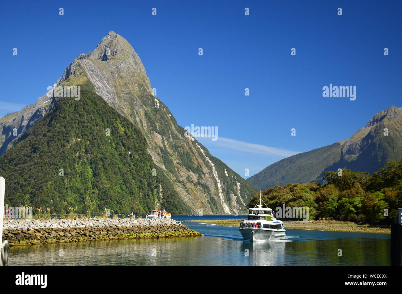 Scène idyllique avec bateau à voile au Milford Sound à New Zélande Banque D'Images