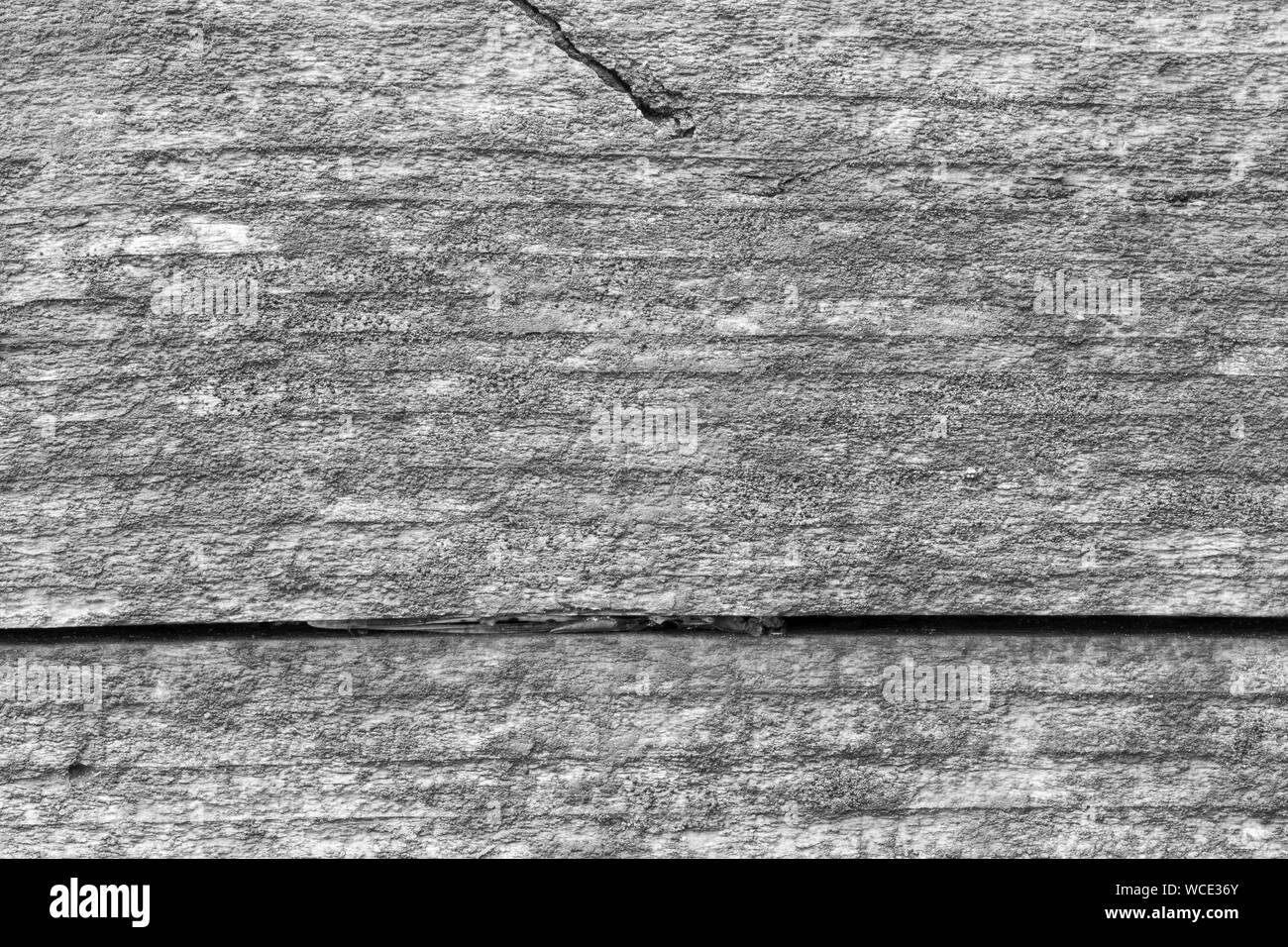 Macro close-up d'une vieille et weathered wood board des moisissures ou de champignon en noir et blanc. La haute résolution full frame background. Banque D'Images