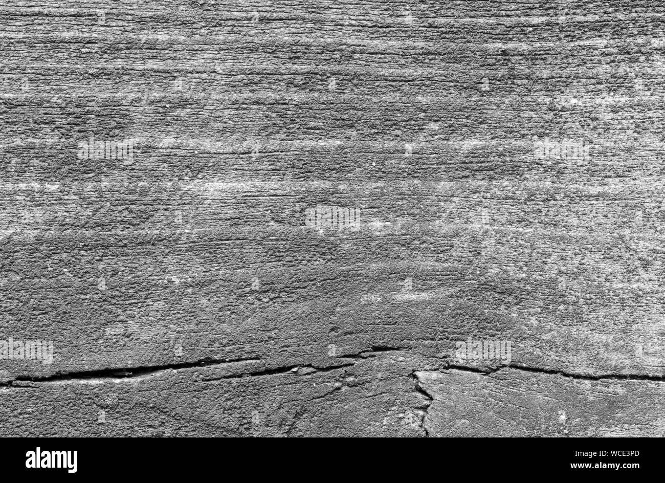 Macro close-up d'une vieille et weathered wood board des moisissures ou de champignon en noir et blanc. La haute résolution full frame background. Banque D'Images