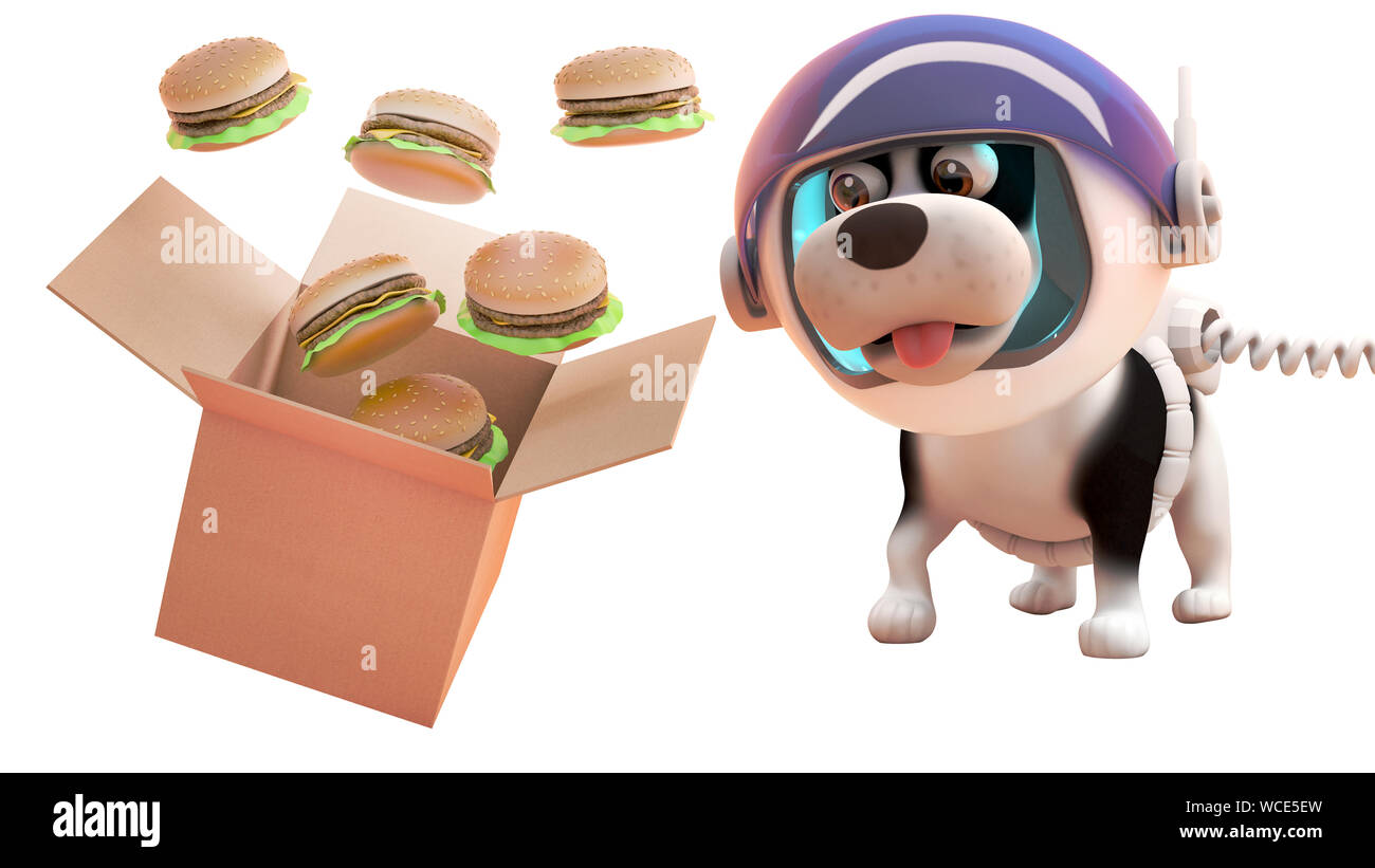 3d Chiot Chien en scaphandre d'astronaute regardant des cheeseburgers déversement provenant d'une boîte en carton dans l'apesanteur, illustration 3D render Banque D'Images