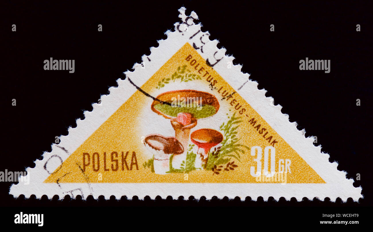 Timbre Pologne - Champignons Banque D'Images