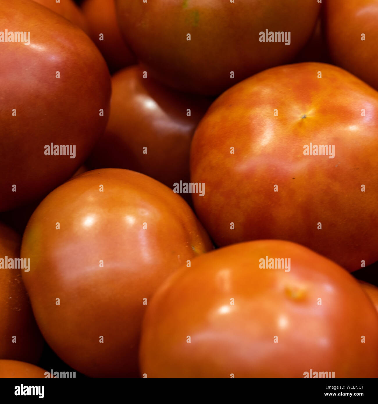 De nombreuses tomates rouges éparpillés sur la table. Groupe des tomates. Banque D'Images