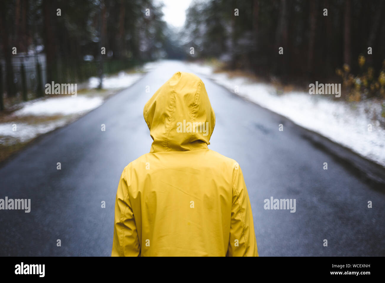 Personne dans l'imperméable jaune est debout sur la route au milieu de la forêt. Plan moyen de l'arrière Banque D'Images