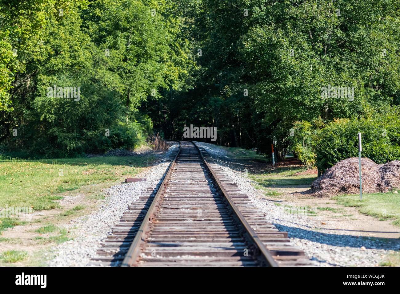 Des voies de chemin de fer avec les arbres de l'heure d'été Banque D'Images