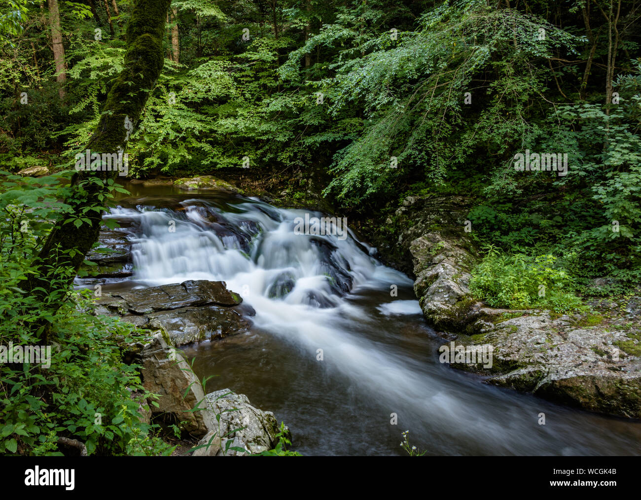 Petit moment d'été l'automne l'eau avec de l'eau lisse Banque D'Images