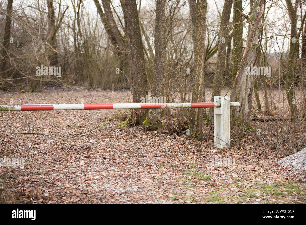 Barrière à rayures rouges et blanches dans les scieries Banque D'Images