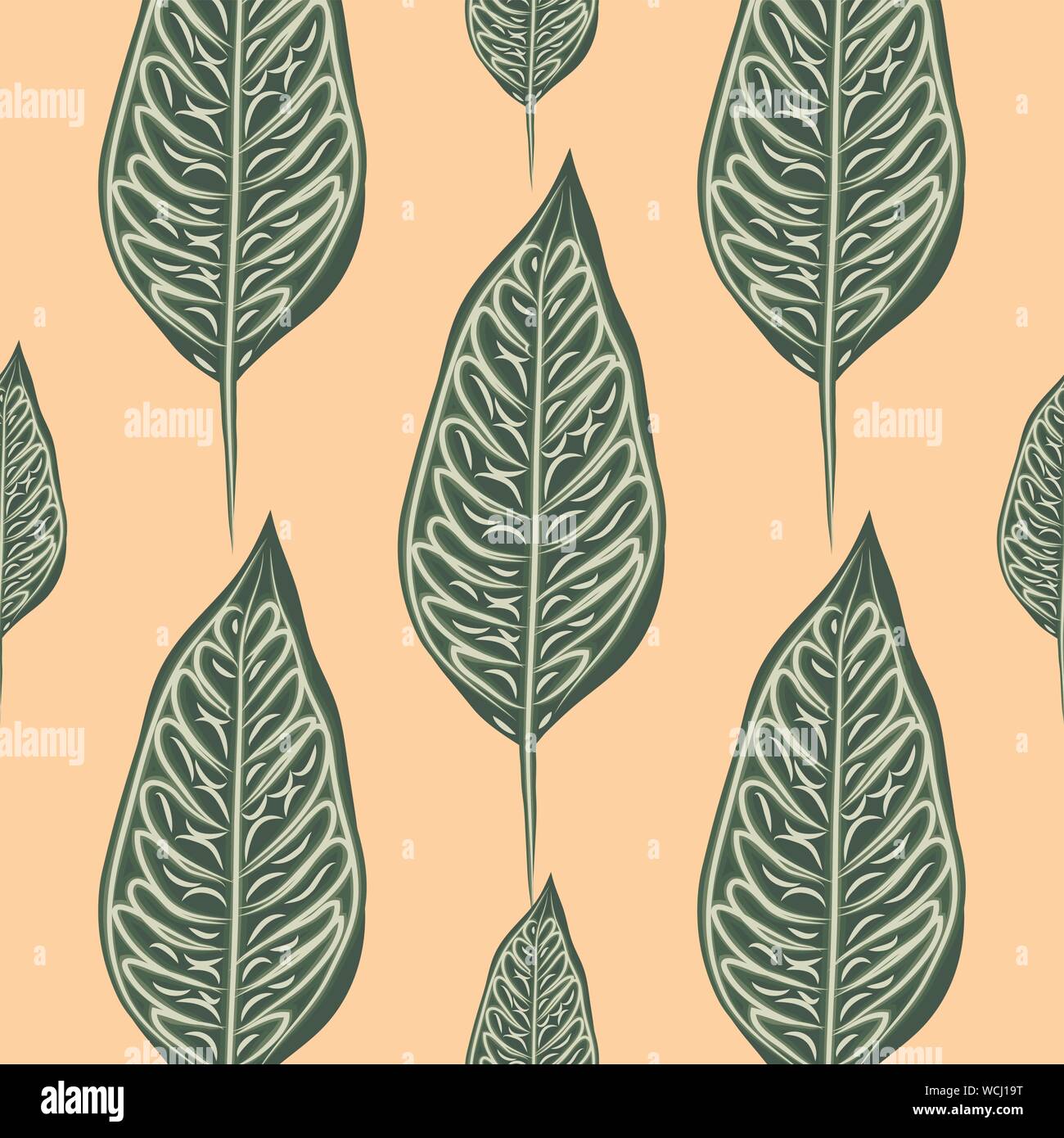 Modèle transparent, vert foncé, blanc Ficus elastica feuilles sur fond clair Illustration de Vecteur