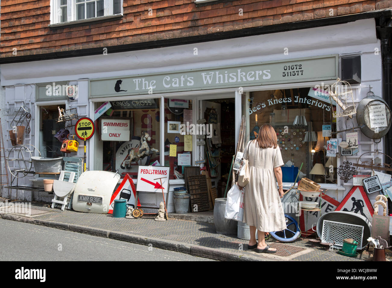 Les moustaches des chats ; boutique ; Marlborough Wiltshire, l'Angleterre, Royaume-Uni Banque D'Images