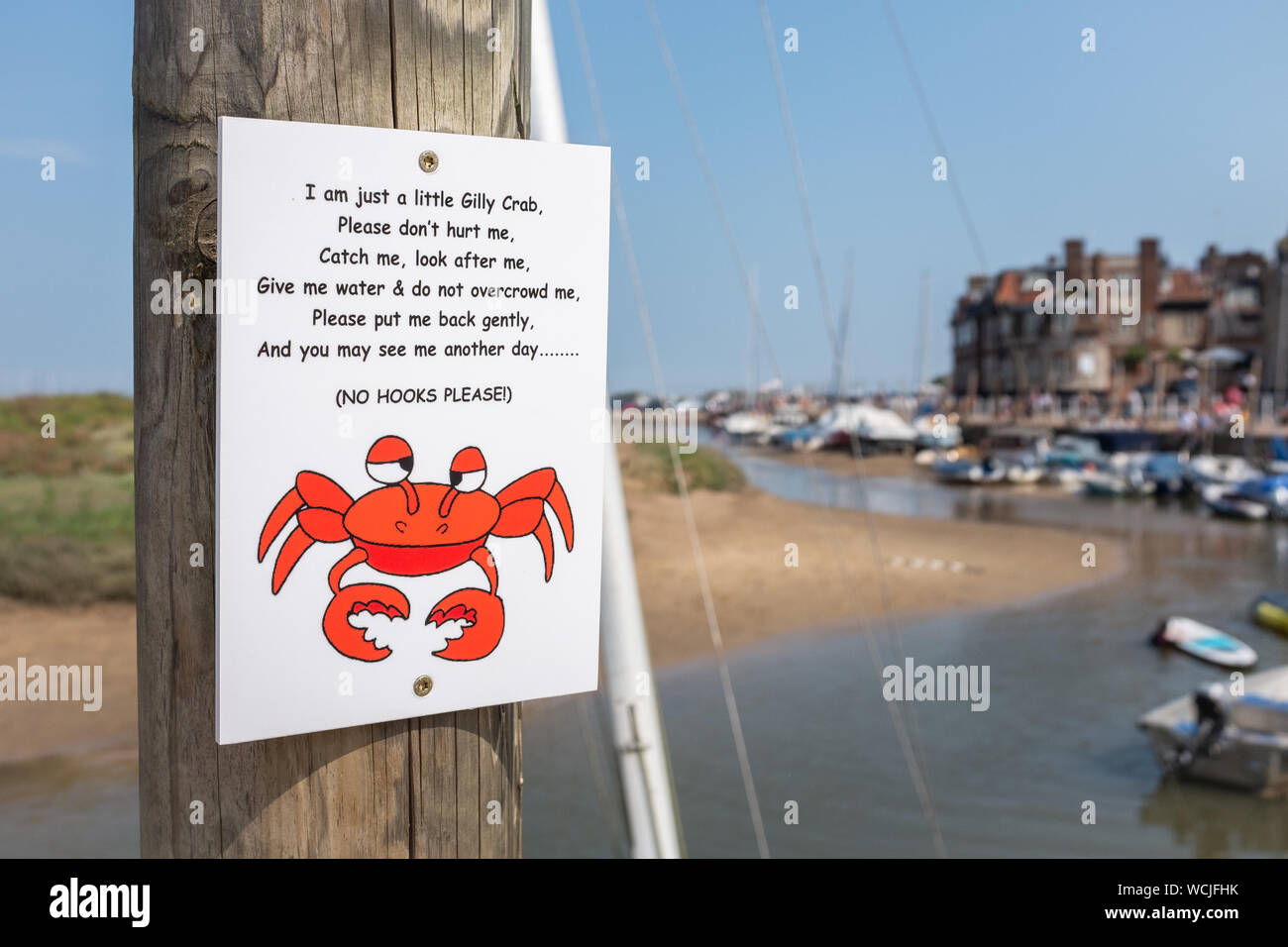 En crabe signe, cloué à un poste en Blakeney, Norfolk, England, UK Banque D'Images