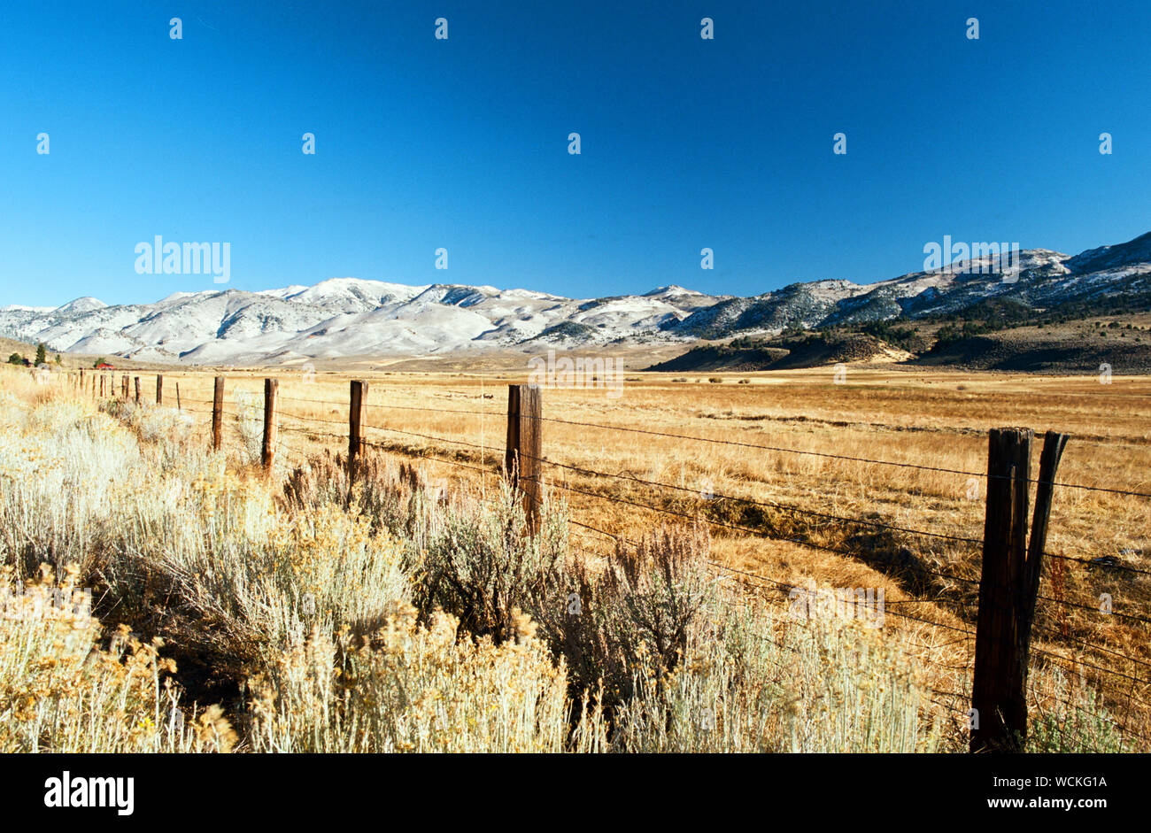 High Sierra Pasture clôture près de Bridgeport, Californie Banque D'Images