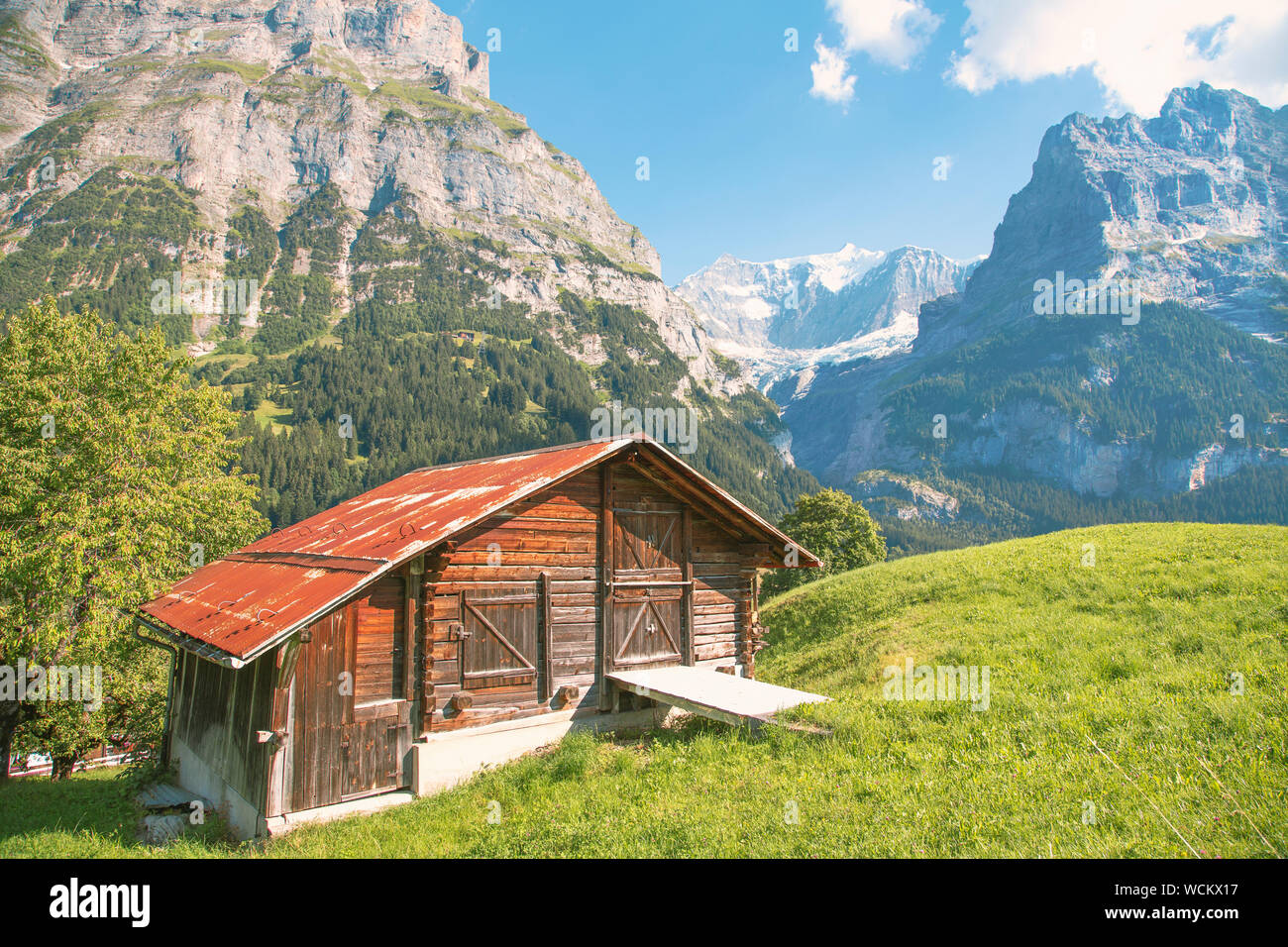 Chalet de montagne au-dessus de Grindelwald, Tm à l'arrière du Wetterhorn, Canton de Berne, Suisse Banque D'Images