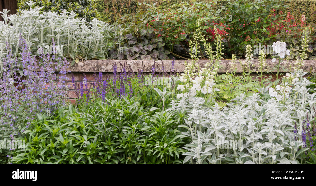 Mixed border, Goldney House and Gardens, Clifton, Bristol, Royaume-Uni Banque D'Images