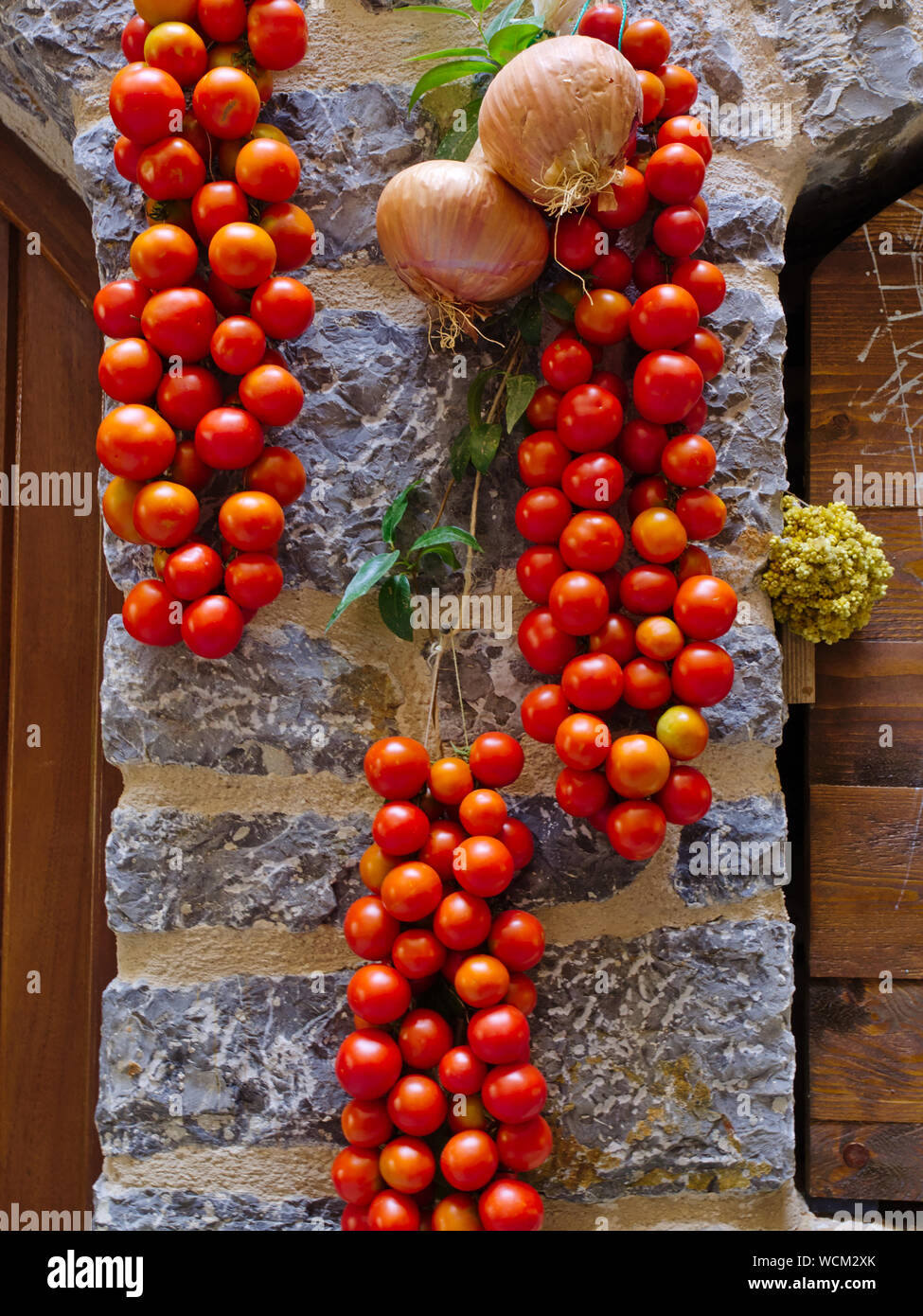 Grappes de petites tomates séchées au soleil en sur mur de pierre, Mesta village, l'île de Chios, Grèce. Banque D'Images