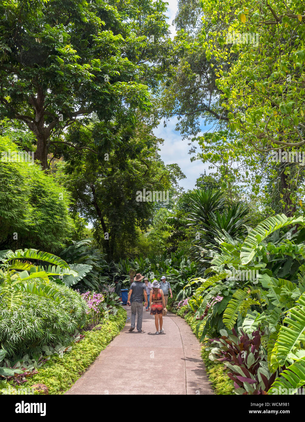 Chemin à travers le National Orchid Garden, jardins botaniques de Singapour, Singapour Banque D'Images