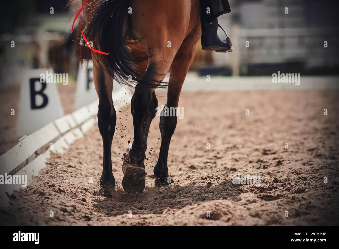 Flowing horse tail Banque de photographies et d'images à haute résolution -  Alamy