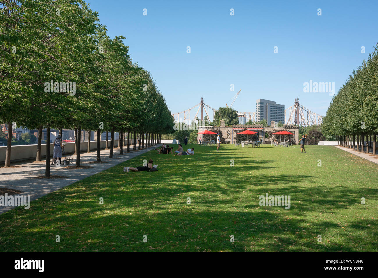 Roosevelt Island Park, vue en été de tilleuls et les gens se détendre sur la pelouse de la Franklin D. Roosevelt Four Freedoms Park, NYC, USA. Banque D'Images