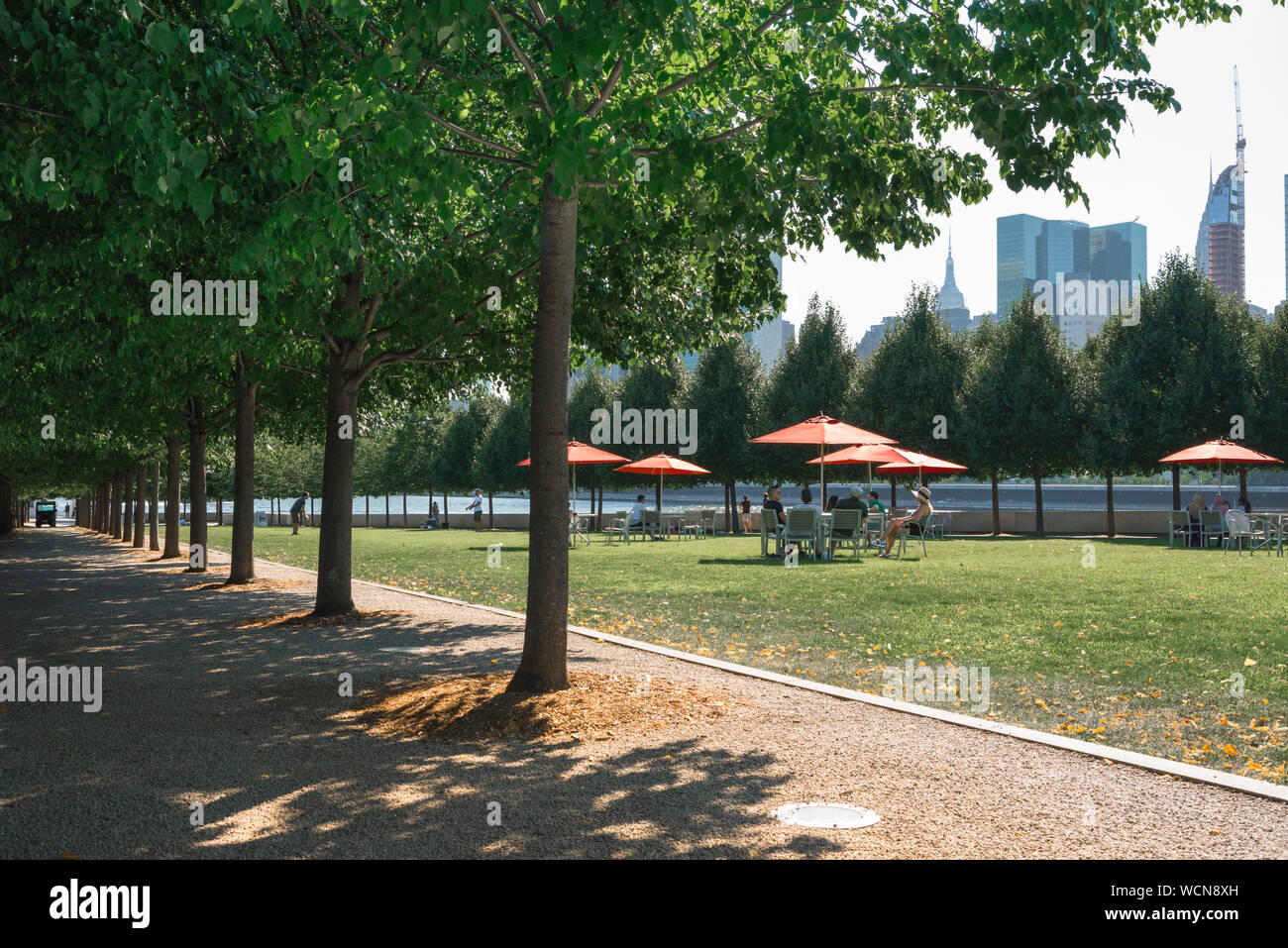 Roosevelt Island Park, vue en été de tilleuls et les gens se détendre sur la pelouse de la Franklin D. Roosevelt Four Freedoms Park, NYC, USA. Banque D'Images