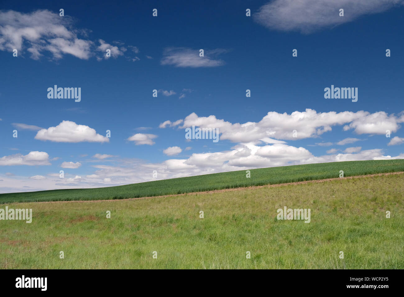 Sherman Comté Pennsylvania farm Banque D'Images