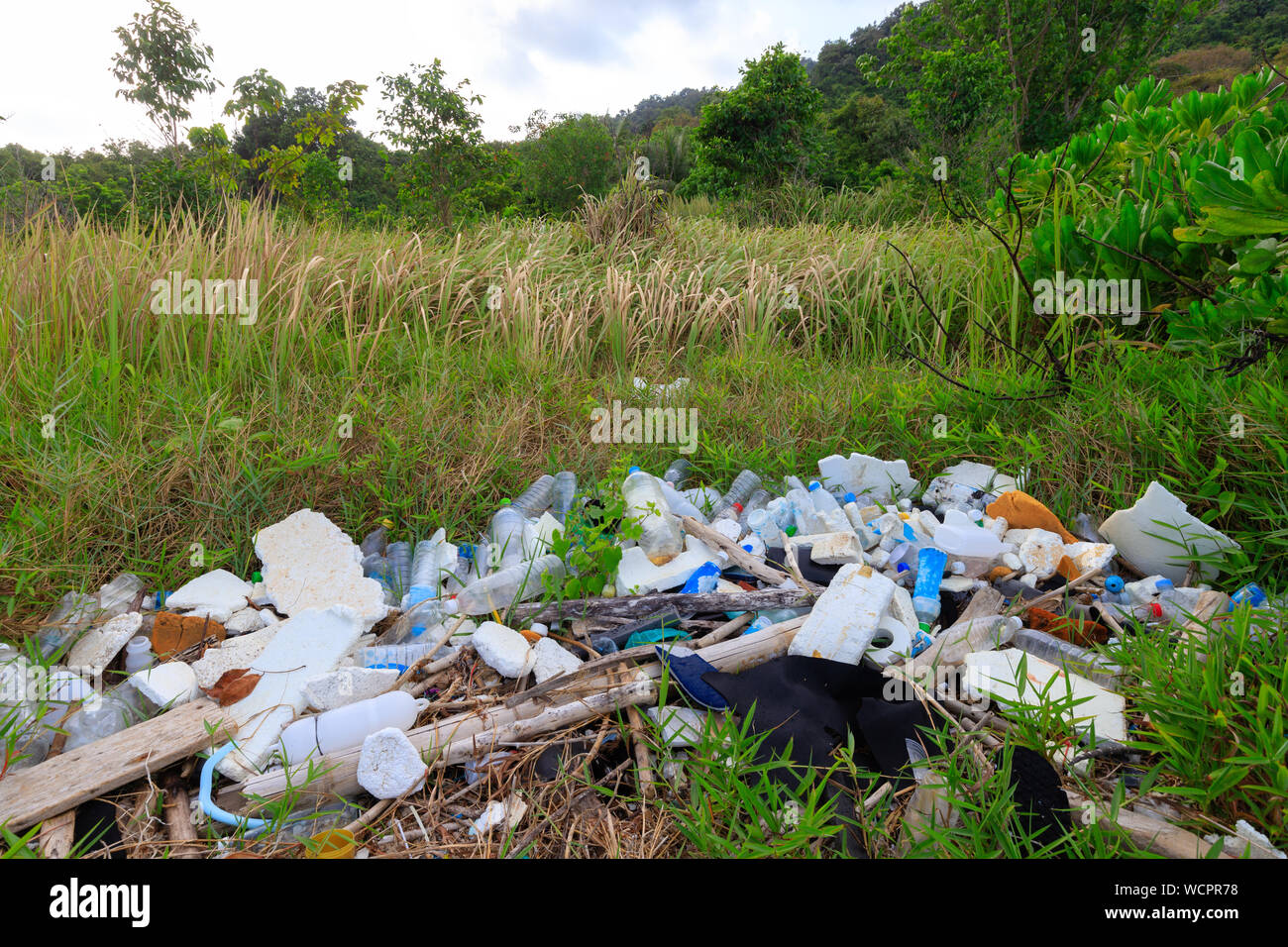 La pollution plastique important dans un pur vert prairie près d'une côte plage en Thailande Banque D'Images