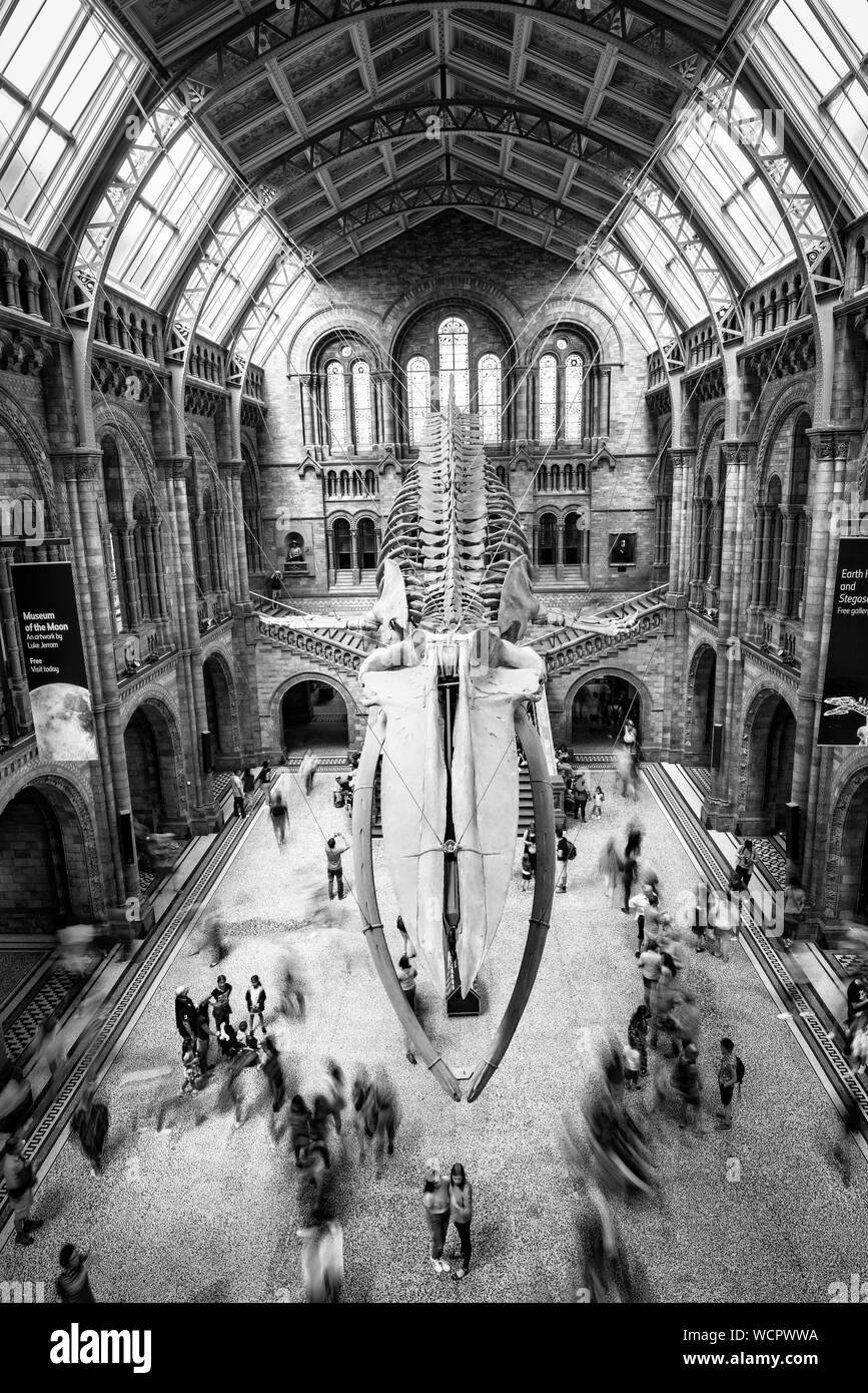 Londres, Royaume-Uni, le 30 juin 2019 : foule de personnes dans le hall principal de la célèbre National History Museum à Londres, Royaume-Uni. Banque D'Images