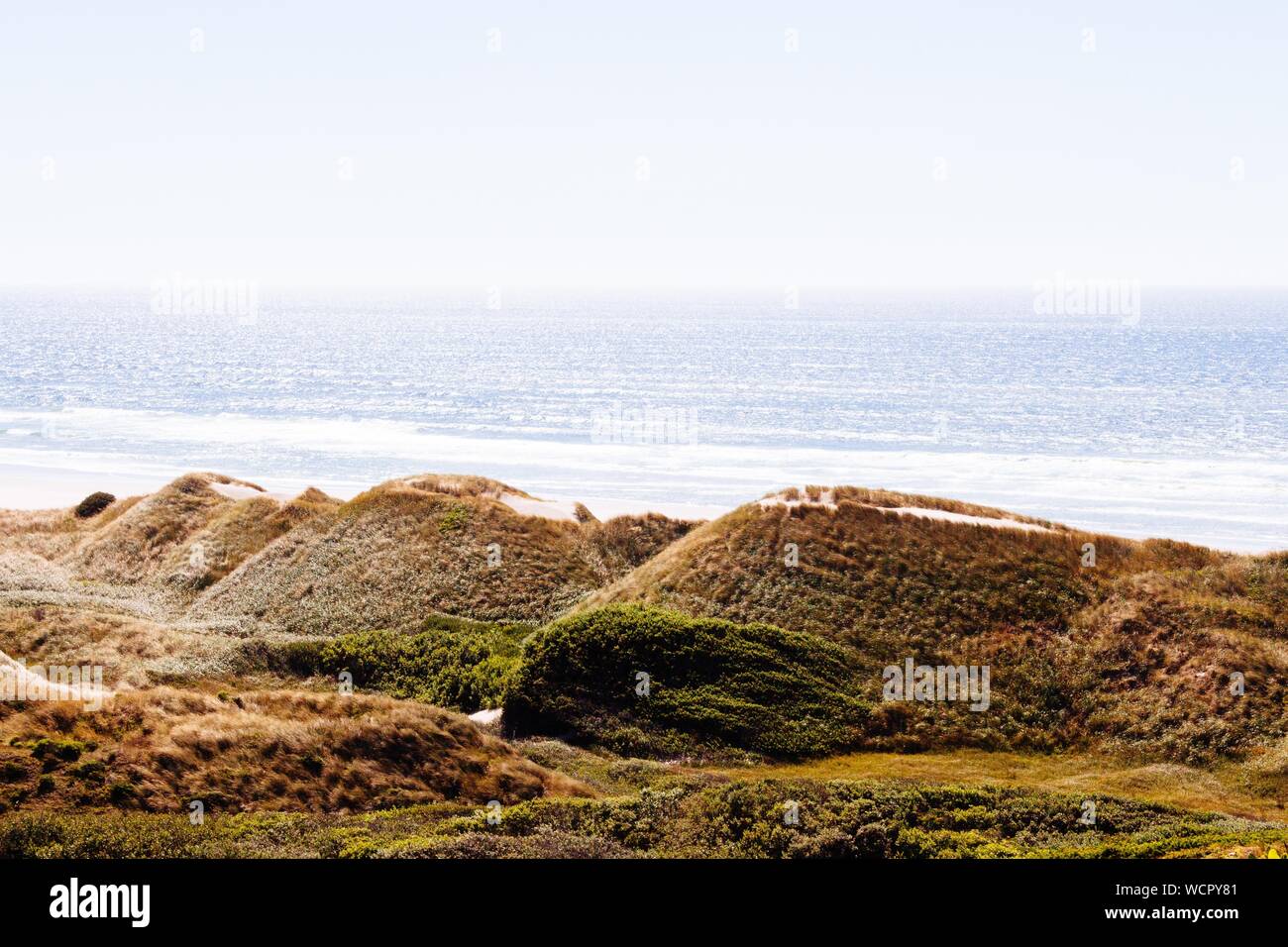 Gros plan de petites masses couvertes de mousses par le eau Banque D'Images