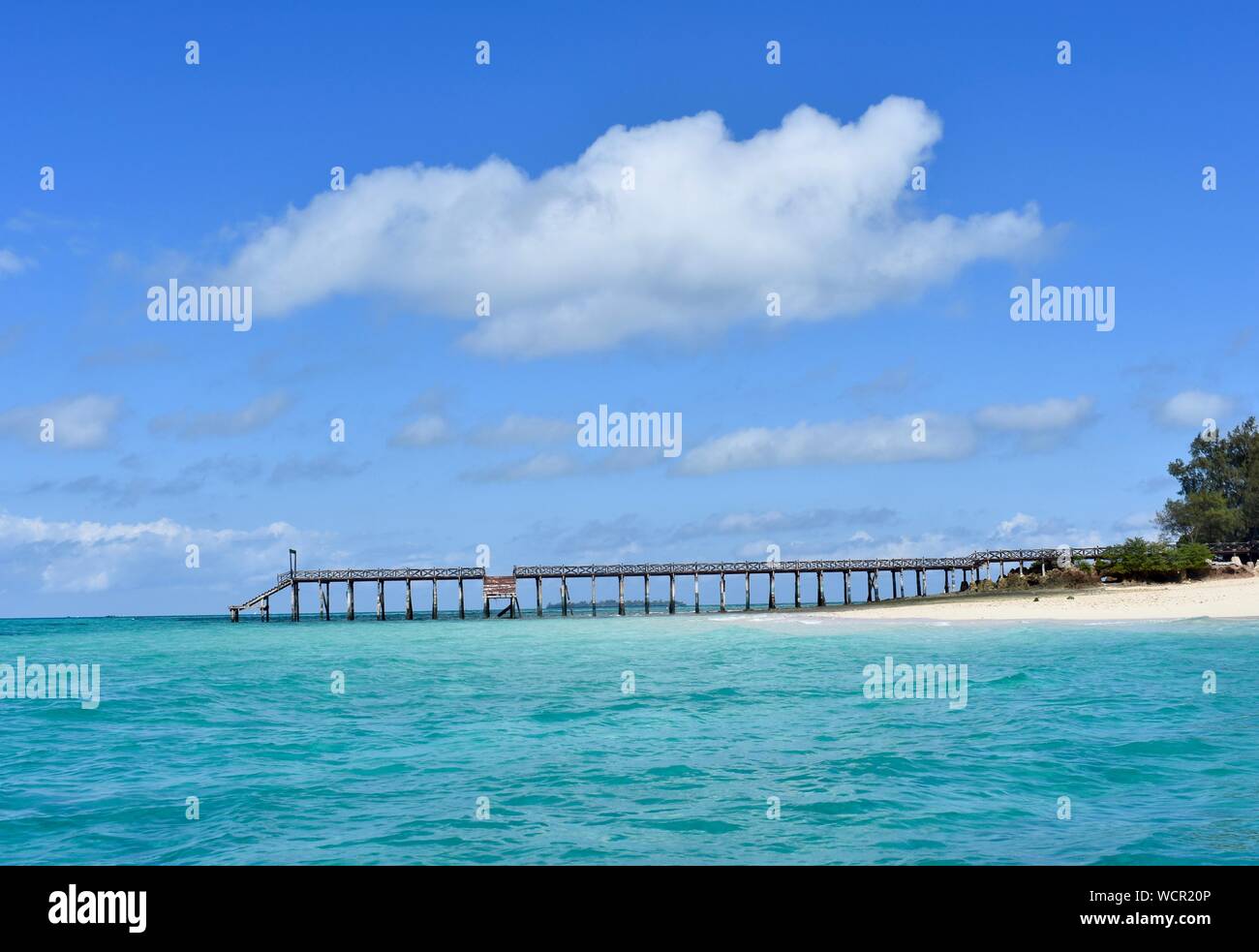 Prison Island, Zanzibar Tanzanie Banque D'Images