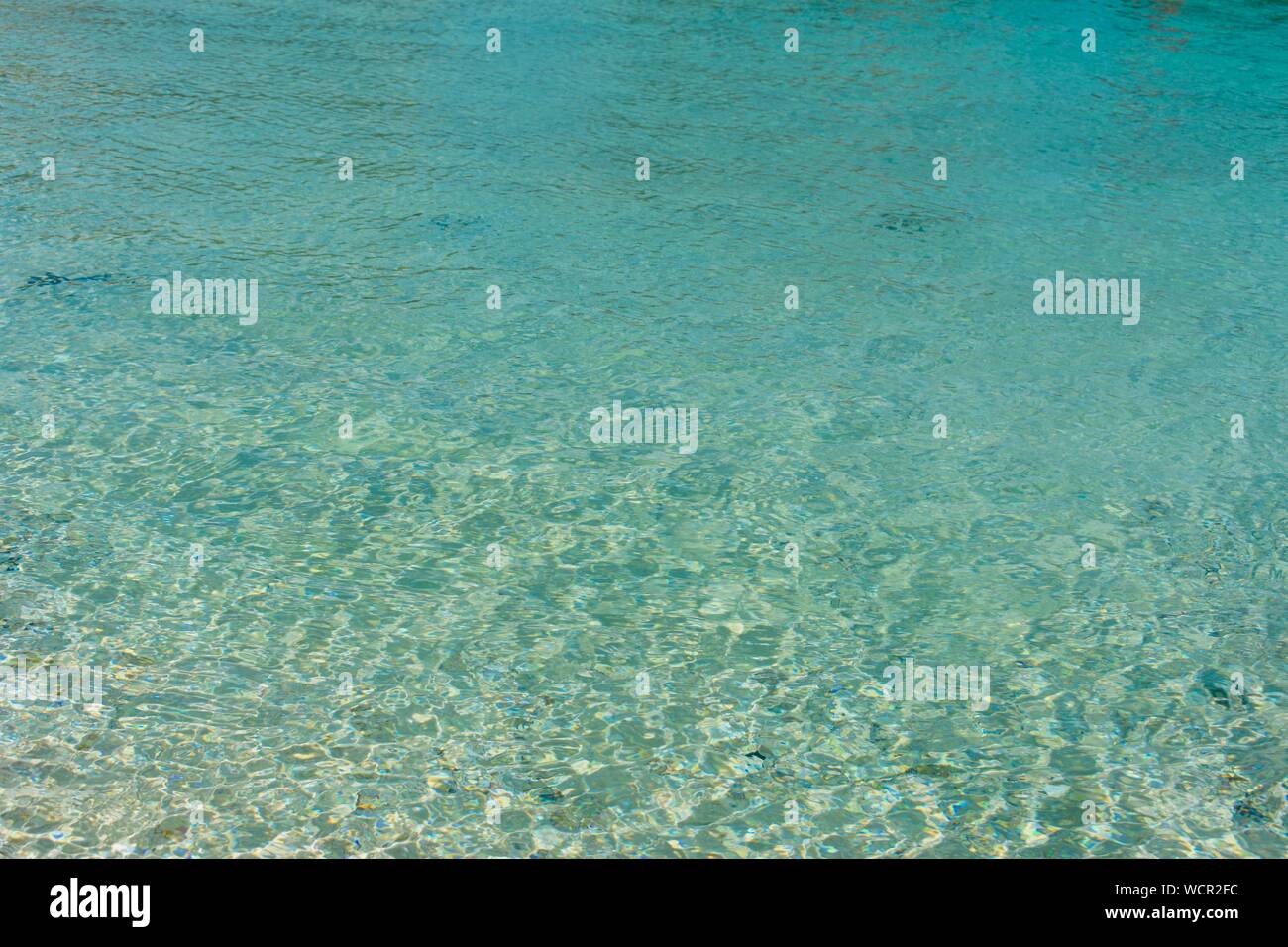 Mer de l'île de prison, Zanzibar Tanzanie Banque D'Images