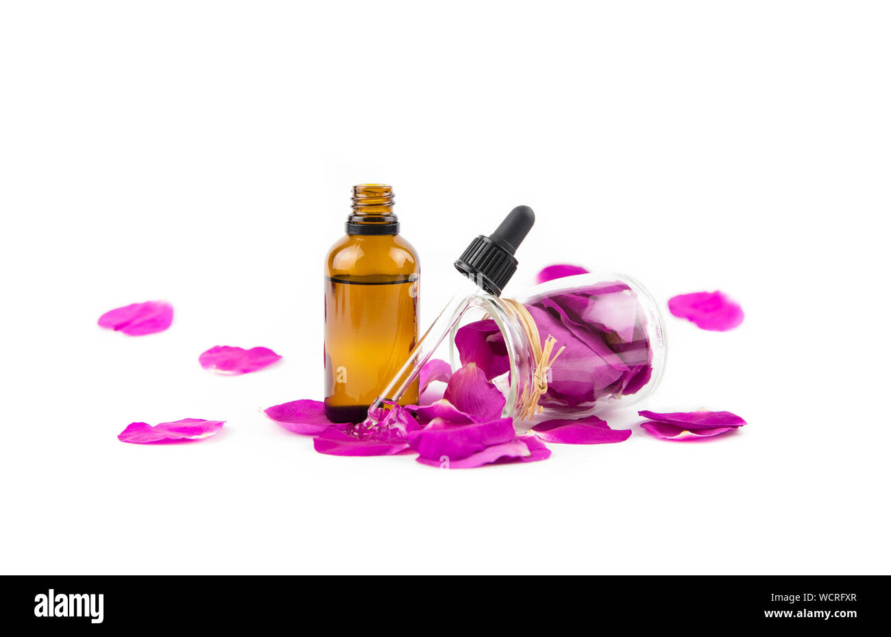 Rose hip( Rosa rugosa, plage rose, rose pétale japonais) huile concept. Flacon compte-gouttes brun avec des pétales de rose musquée rose foncé et en verre clair j Banque D'Images